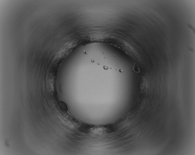 X0000101110452200807031743