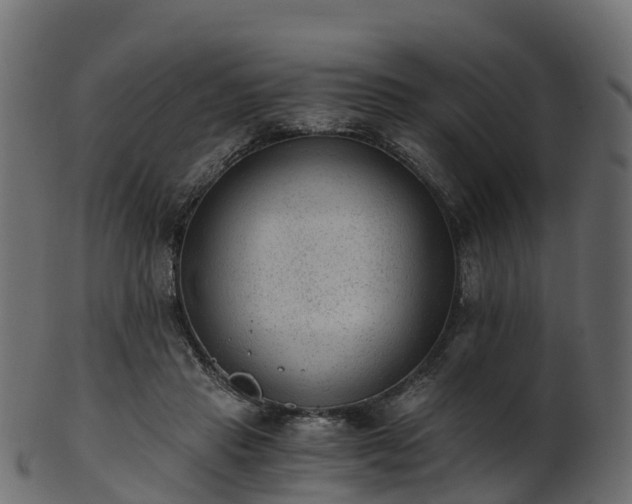 X0000101110453200807031743