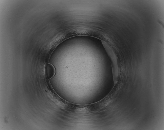 X0000101110454200807031743