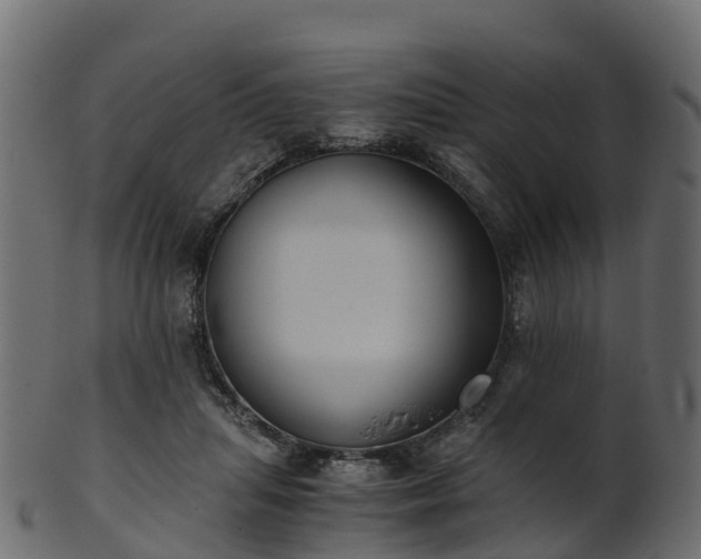 X0000101110455200807031743