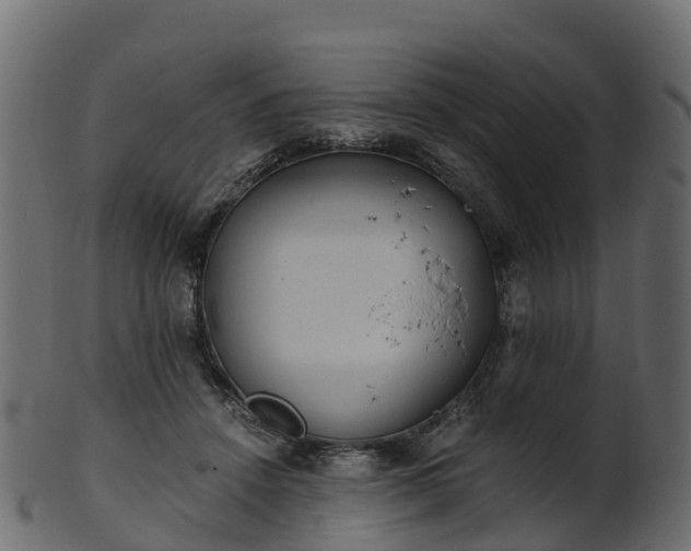 X0000101110456200807031743
