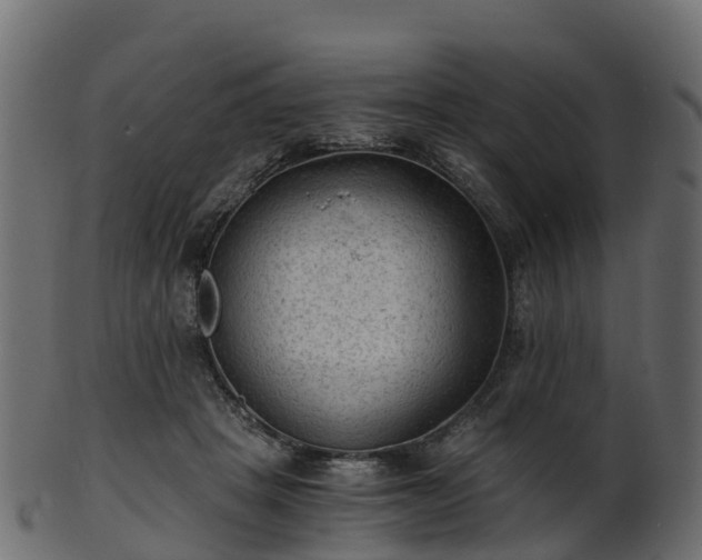 X0000101110457200807031743