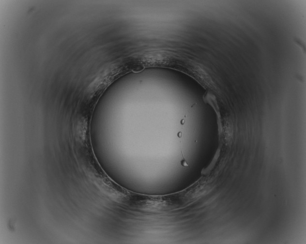 X0000101110458200807031743