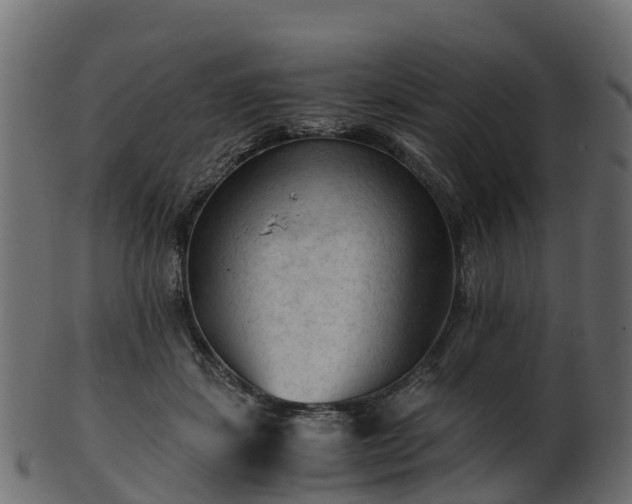X0000101110459200807031744