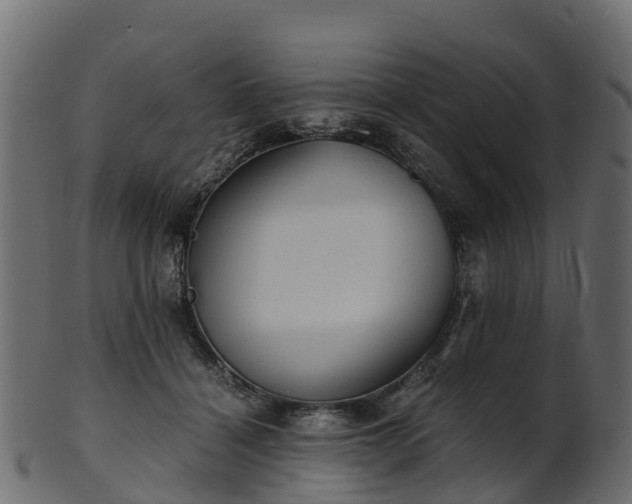 X0000101110460200807031744