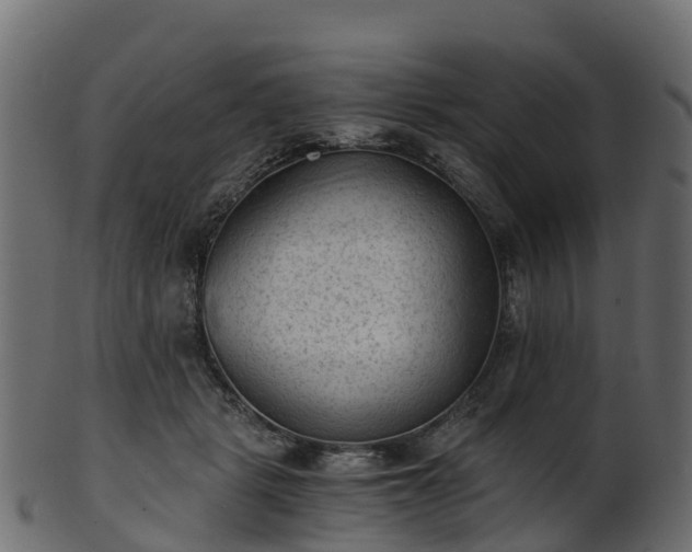 X0000101110461200807031744