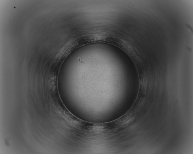 X0000101110462200807031744