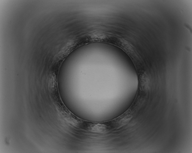 X0000101110463200807031744