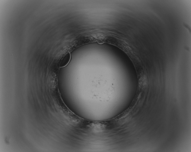 X0000101110464200807031744