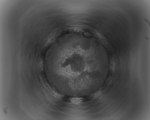 X0000101110465200807031744