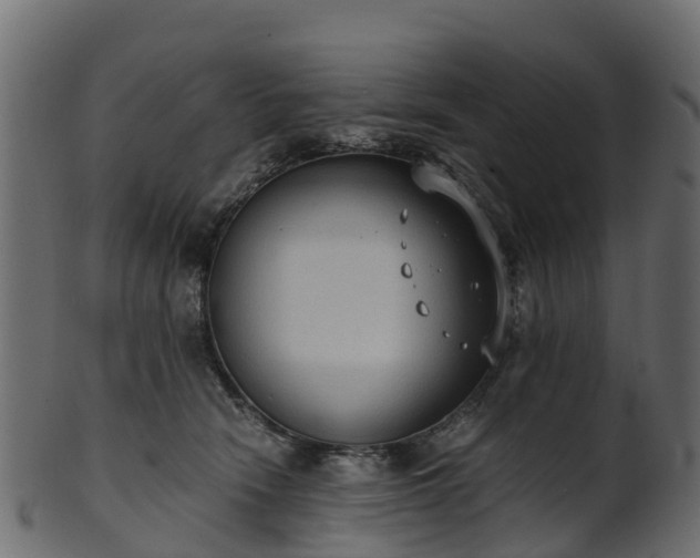 X0000101110466200807031744