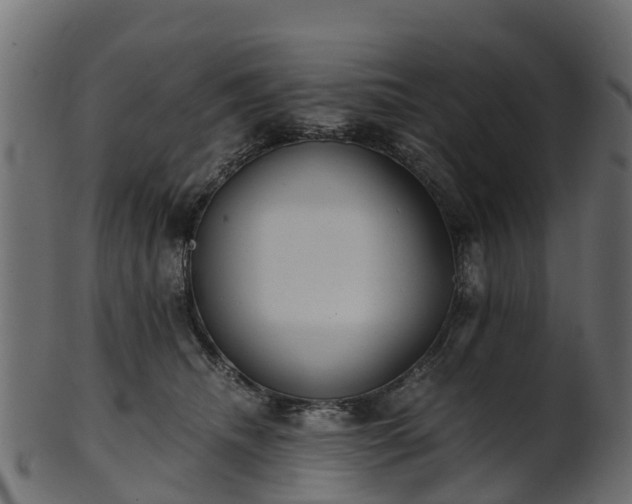 X0000101110468200807031744