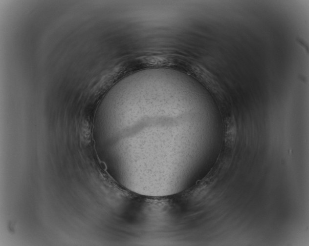 X0000101110469200807031744
