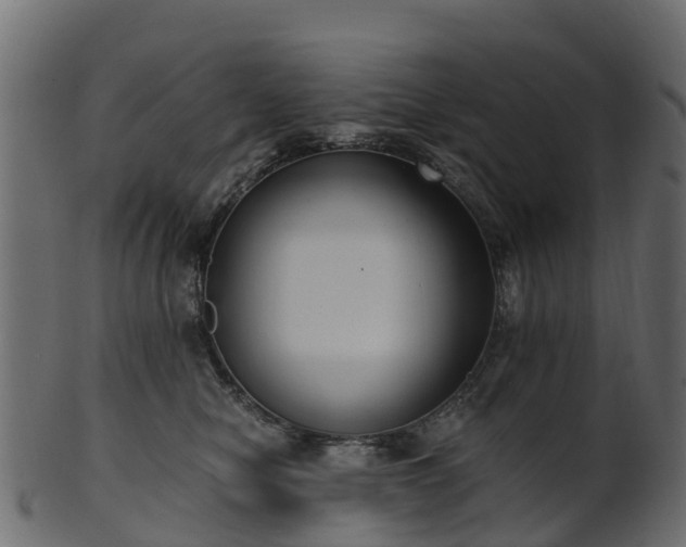 X0000101110470200807031744