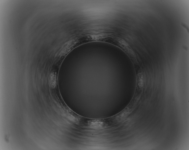 X0000101110471200807031744