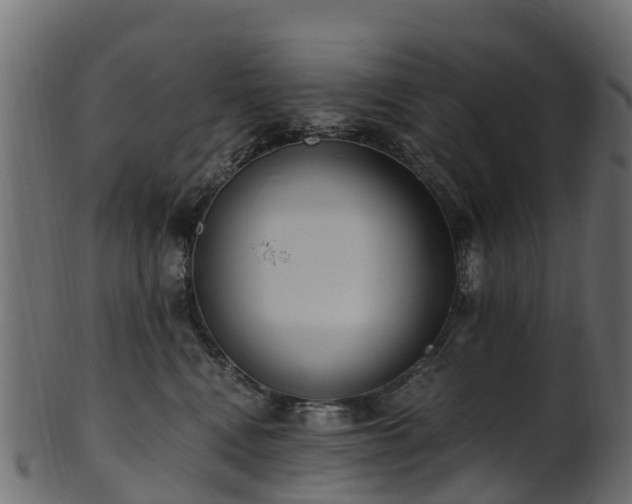 X0000101110472200807031744