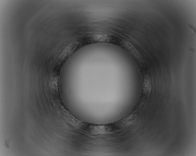 X0000101110473200807031744