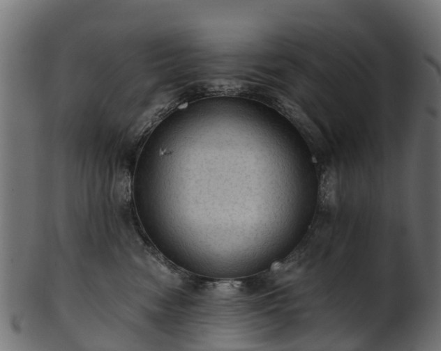 X0000101110474200807031744