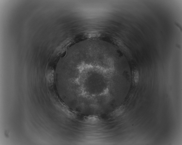 X0000101110475200807031744