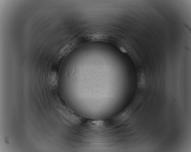 X0000101110478200807031744