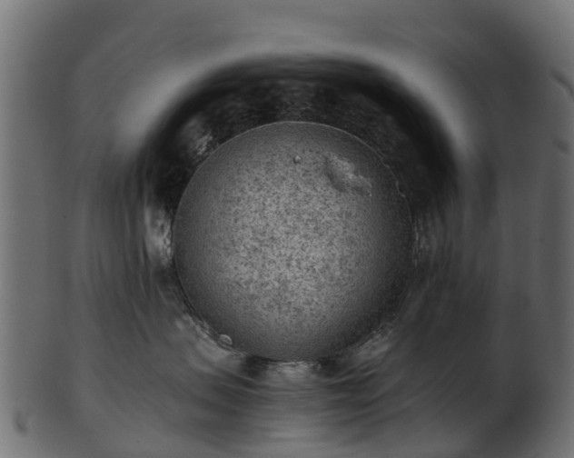 X0000101110479200807031744