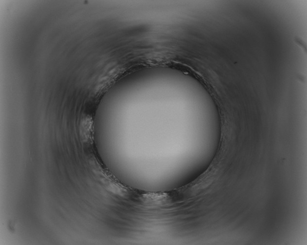 X0000101110480200807031744