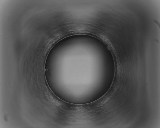 X0000101110481200807031743