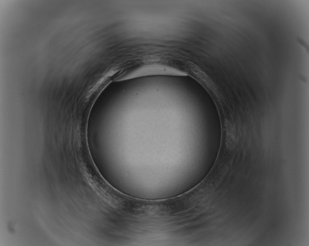 X0000101110482200807031743