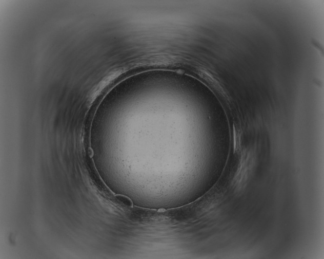 X0000101110483200807031743