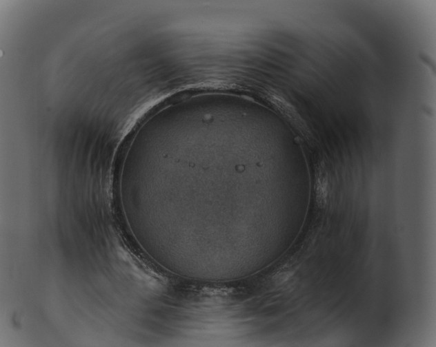 X0000101110484200807031743