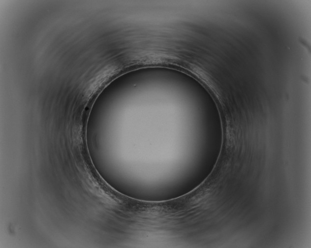 X0000101110485200807031743