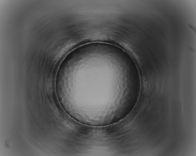 X0000101110487200807031743