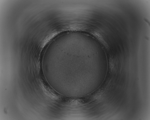 X0000101110488200807031743