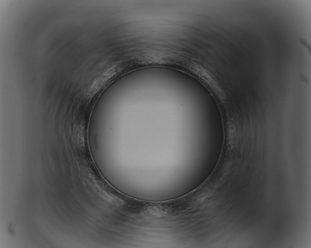 X0000101110489200807031743