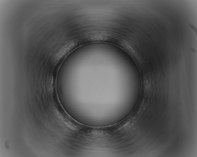 X0000101110490200807031743