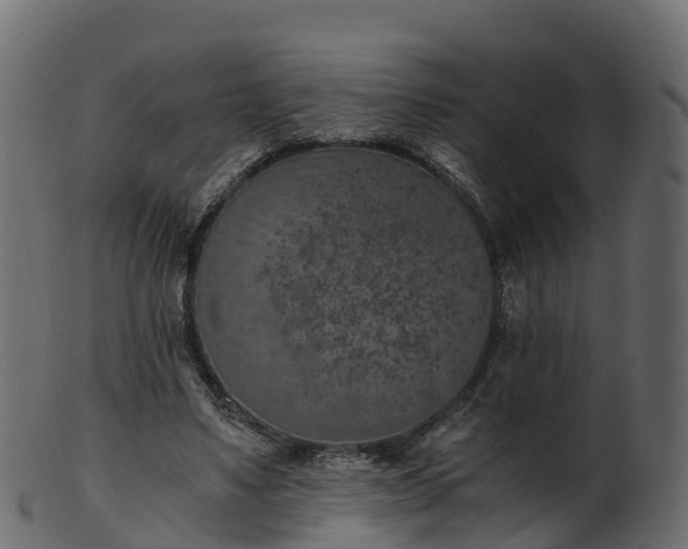 X0000101110491200807031743