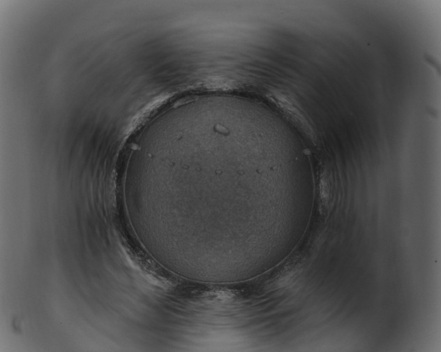 X0000101110492200807031743