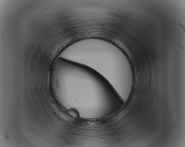 X0000101110493200807031743