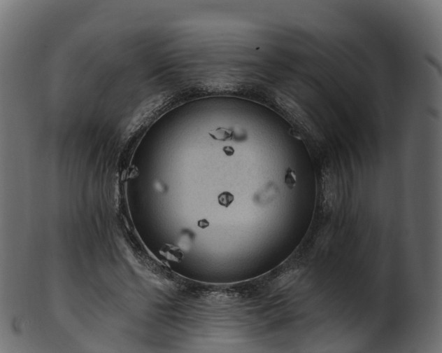 X0000101110494200807031743