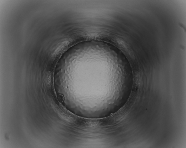 X0000101110495200807031743