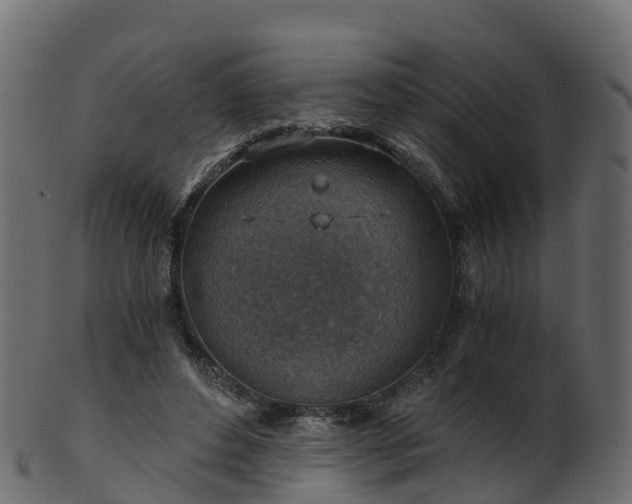 X0000101110496200807031743