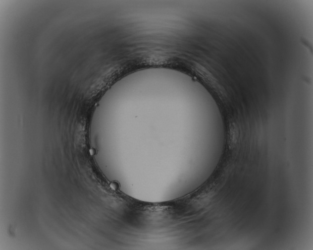 X0000101110497200807031743