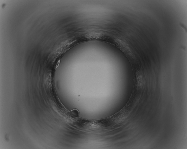 X0000101110498200807031743