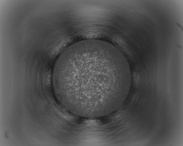 X0000101110499200807031743