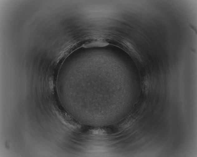 X0000101110500200807031743