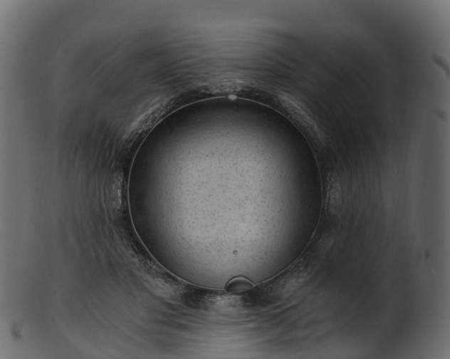 X0000101110501200807031743