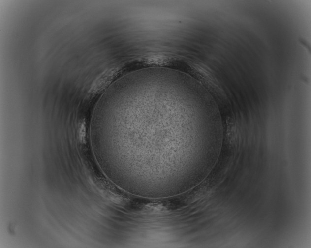 X0000101110502200807031743