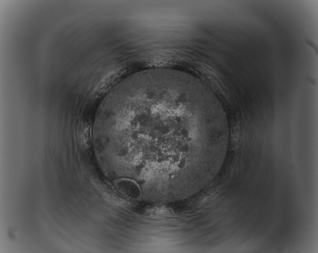 X0000101110503200807031743