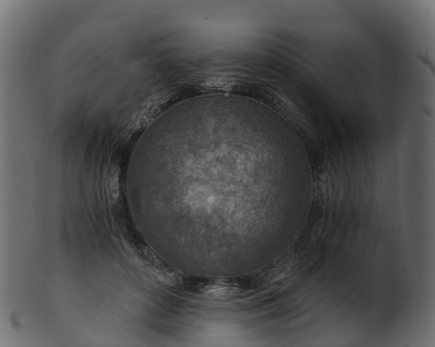 X0000101110504200807031743