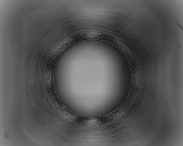 X0000101110505200807031743